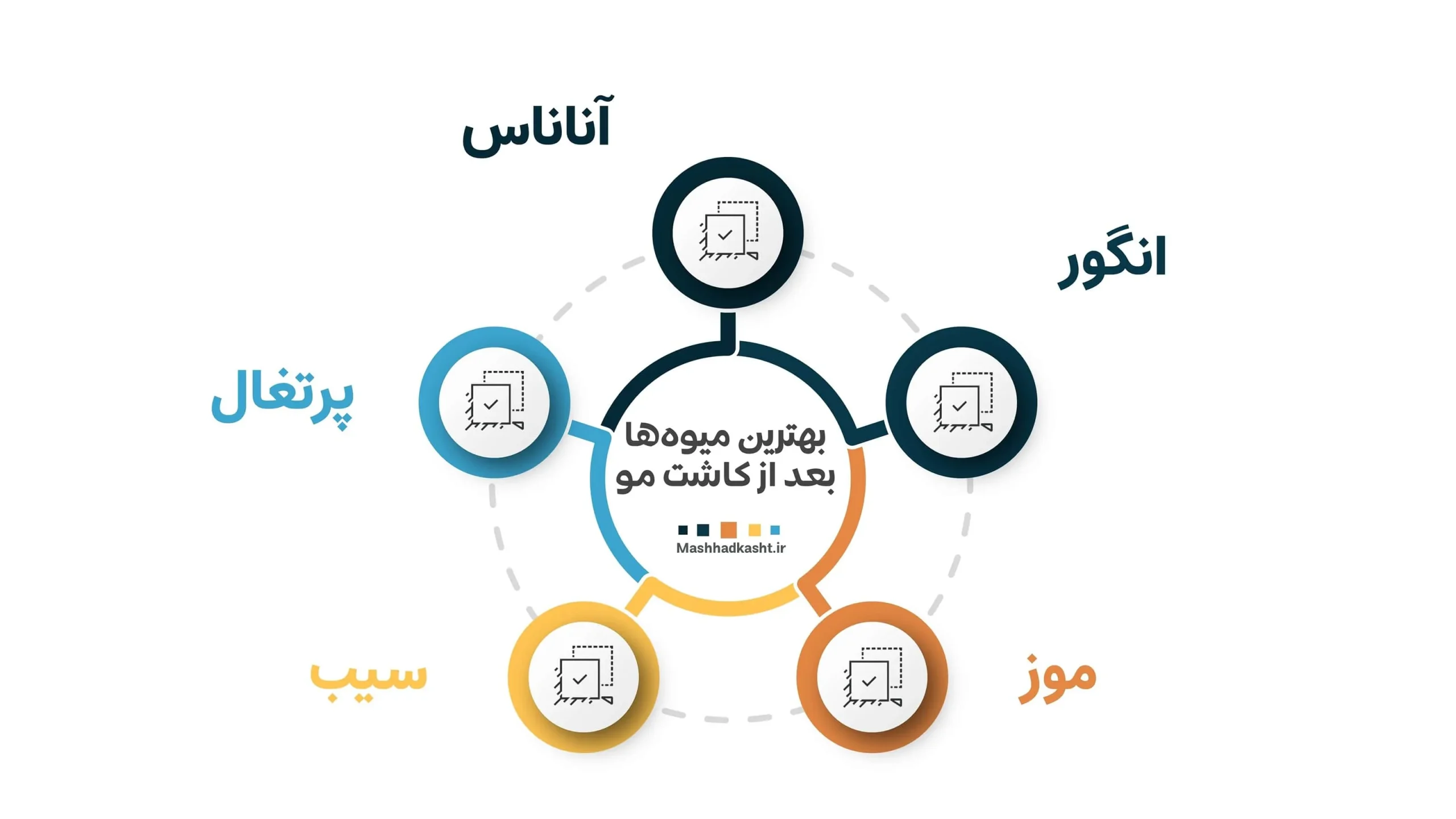 بهترین میوه بعد از کاشت مو قطعا شمال تنوع بسیا بالایی است
