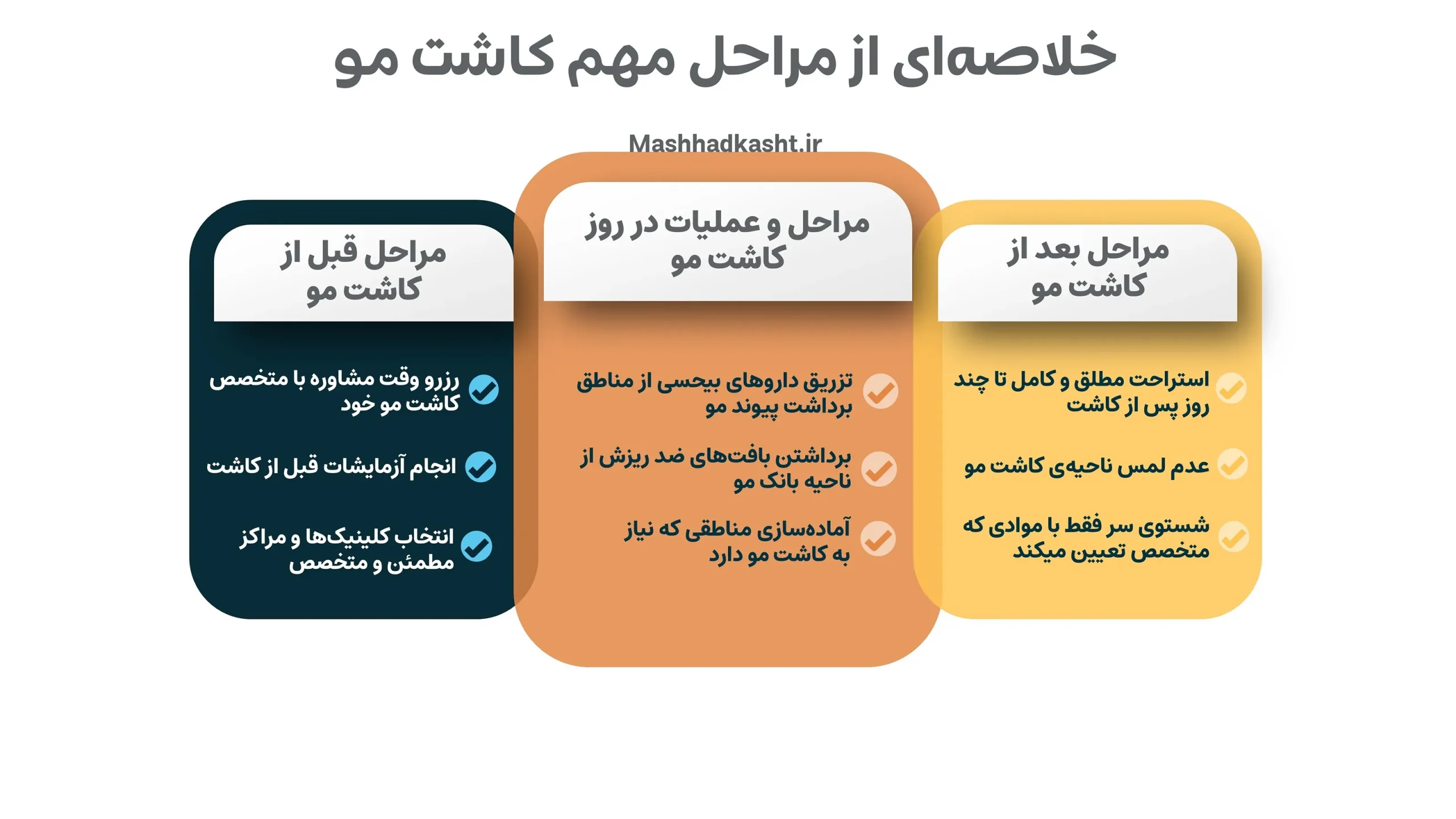 نمودا مراحل کاشت مو که شامل موارد متعددی میشود.