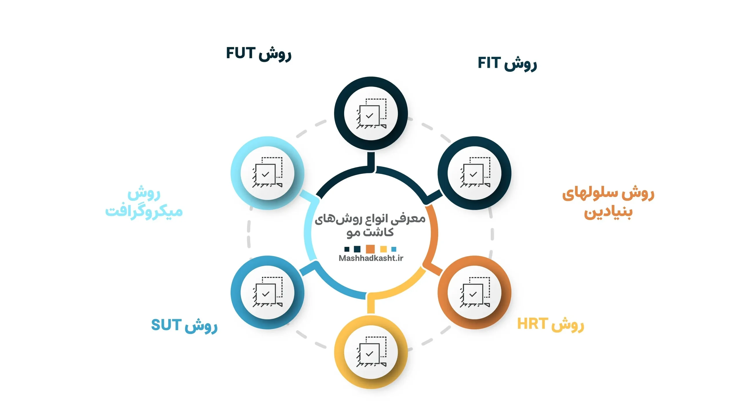 در مراحل کاشت مو با روش های متعددی از کاشت مو مواجحه هستیم