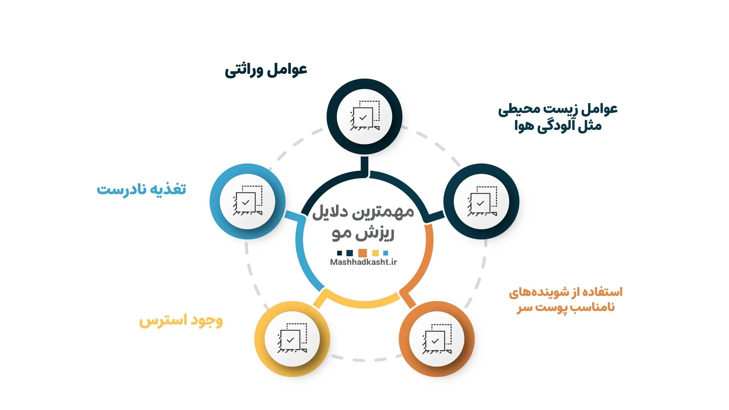 اینفورگرافیک دلایل ریش مو و ارتباط ان با بهترین سن کاشت مو