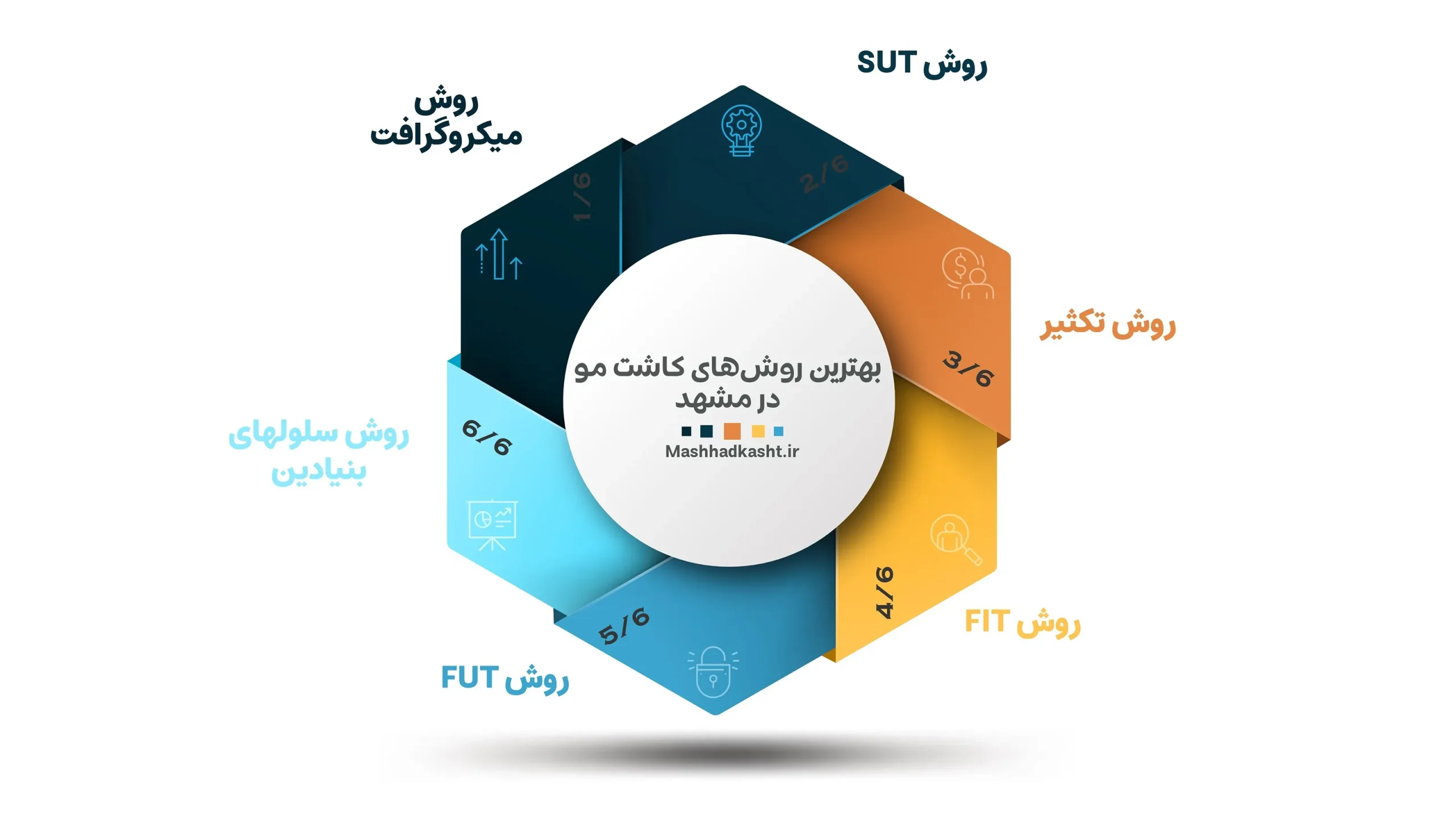 اینفورگرافیک بهترین روش کاشت مو در مشهد