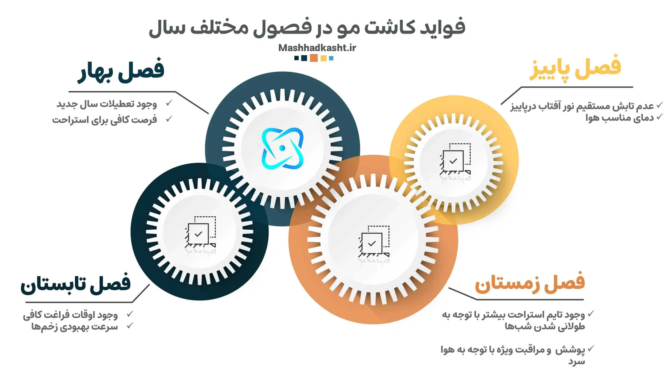 مشخص کردن بهترین فصل کاشت مو دقیقا بستگی به شرایط ویژه دارد.